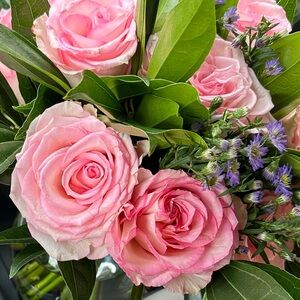 Meet your Posher, Beth